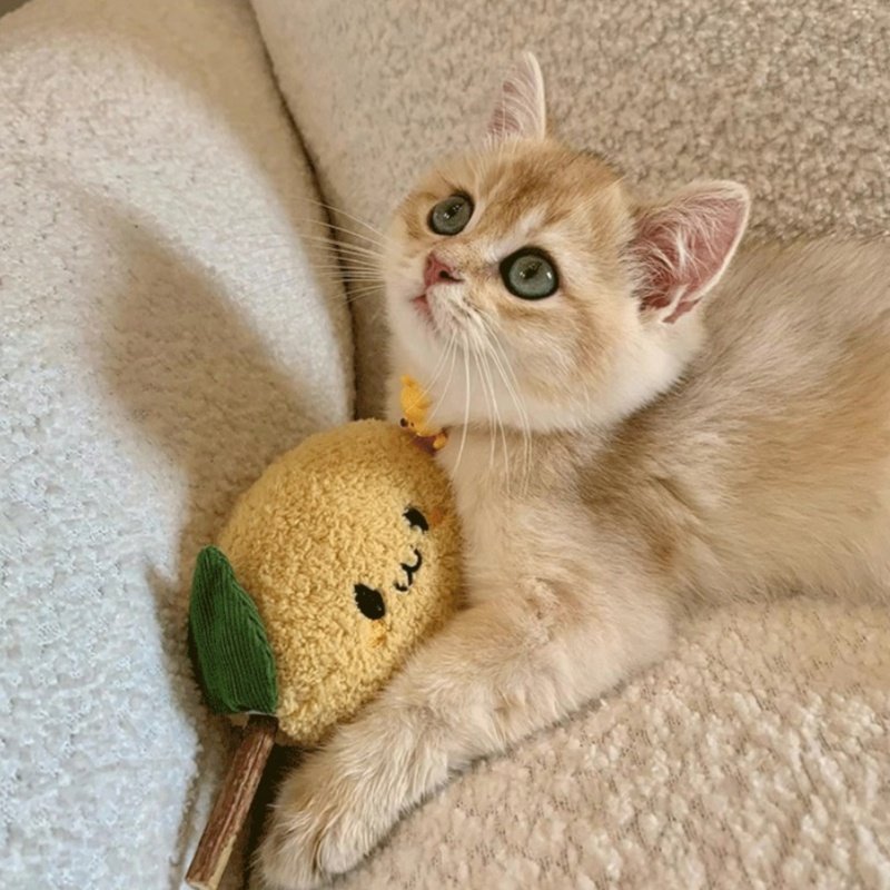 Funny Cat Grinding Stick Toy Wooden Cat Self-priming Artifact Funny Cat Stick Chew Toy, interactive cat toys, best cat toys, active cat toys - Image 3