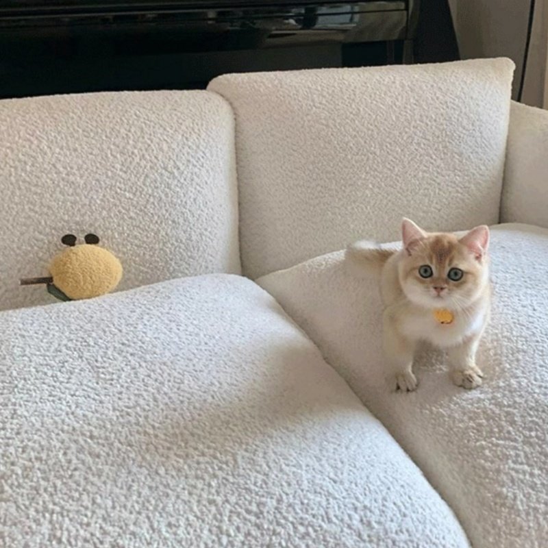 Funny Cat Grinding Stick Toy Wooden Cat Self-priming Artifact Funny Cat Stick Chew Toy, interactive cat toys, best cat toys, active cat toys - Image 6