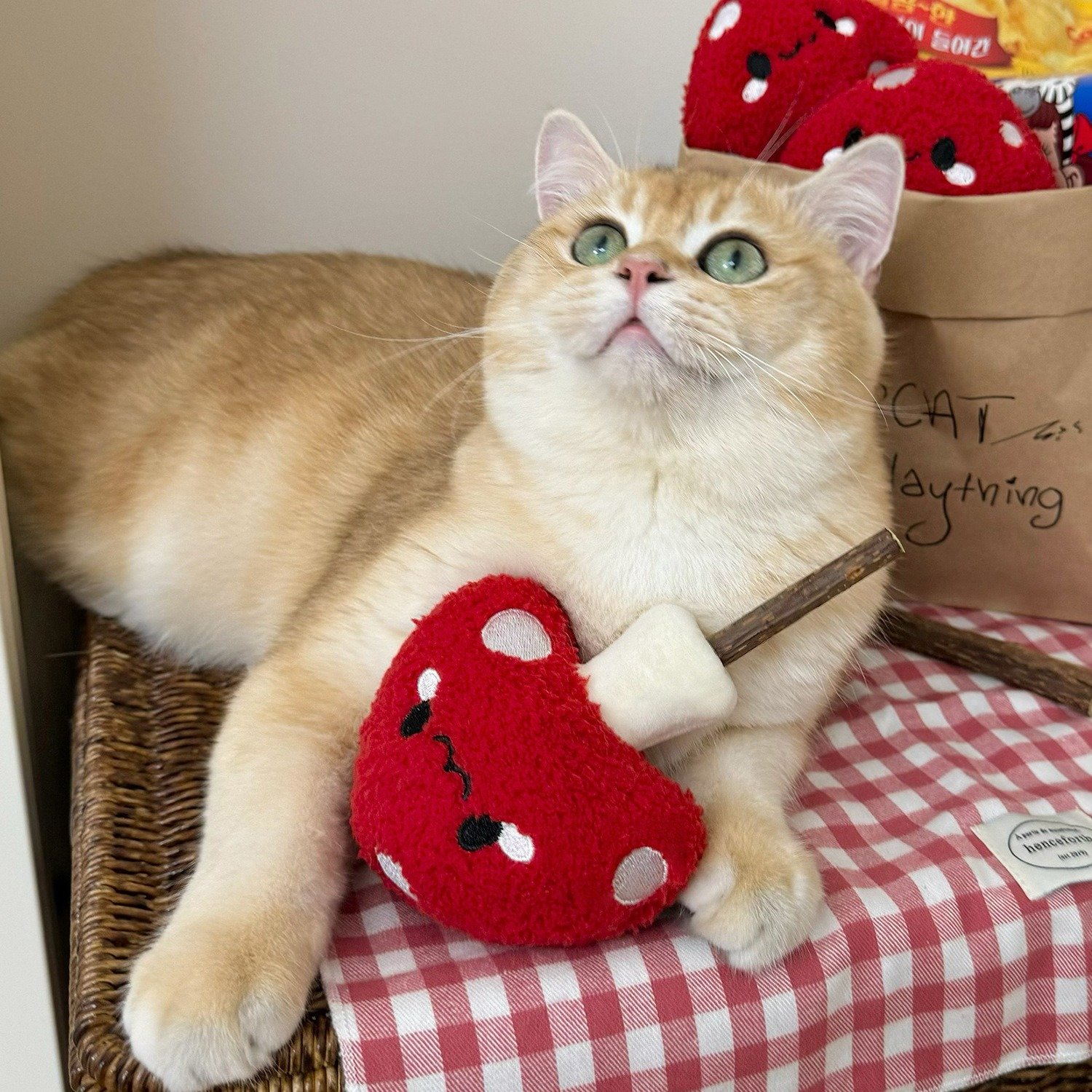 Funny Cat Grinding Stick Toy Wooden Cat Self-priming Artifact Funny Cat Stick Chew Toy, interactive cat toys, best cat toys, active cat toys - Image 9